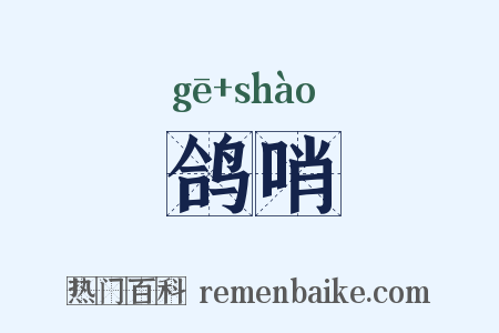 鸽哨是什么意思的图片
